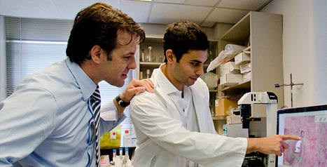 Lorenzo Ferri, Jonathan Cools-Lartigue